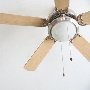 boise ceiling fan installation